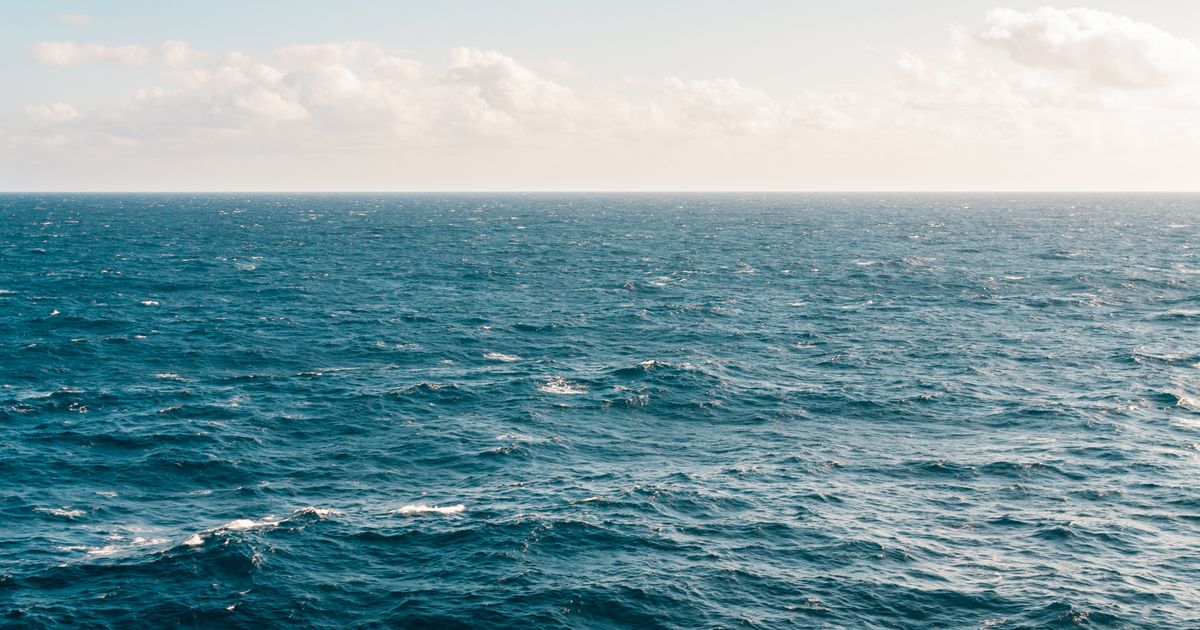 Landscape photograph of a body of water with natural flow patterns